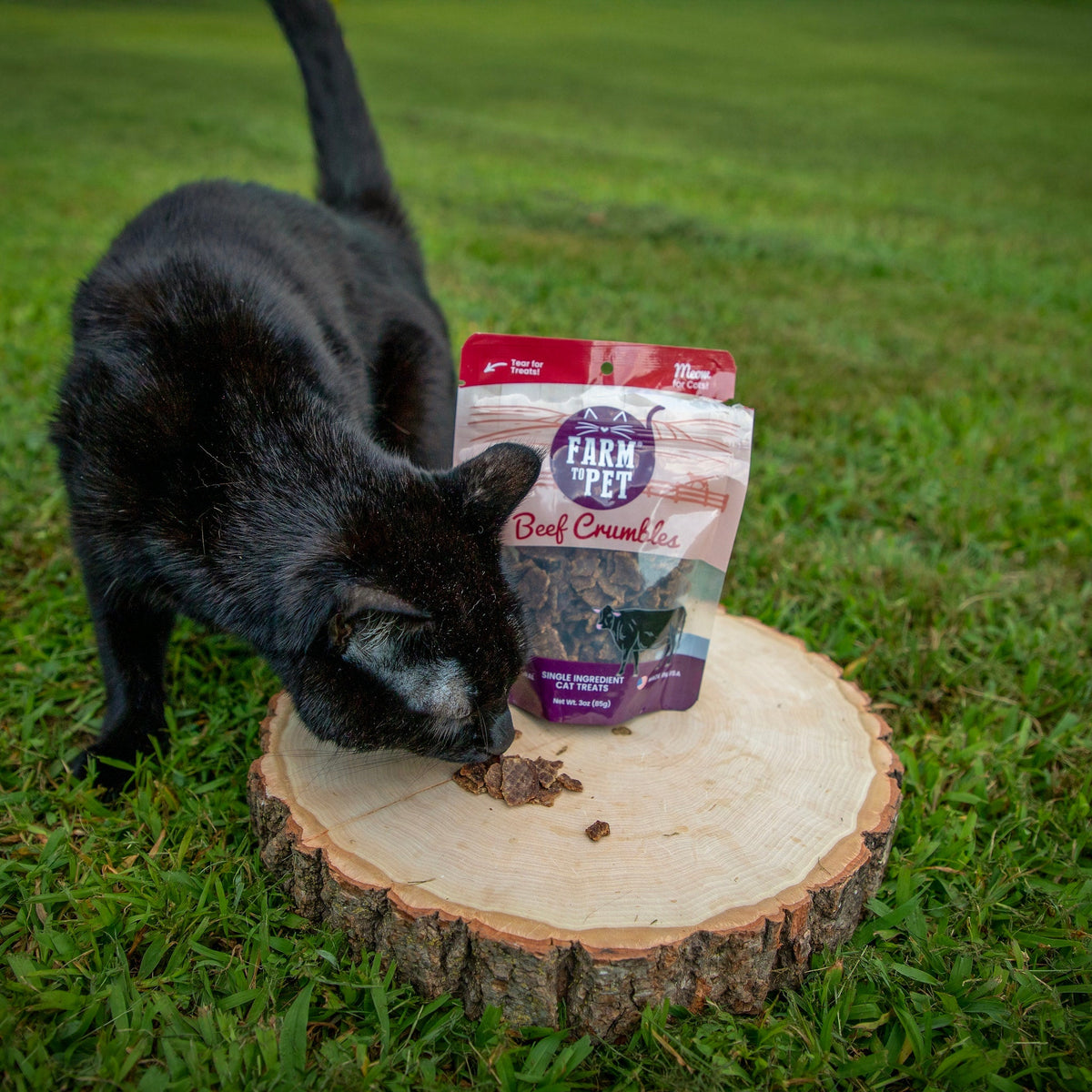 Beef Crumbles Cat Treats | High Protein Treats for Cats