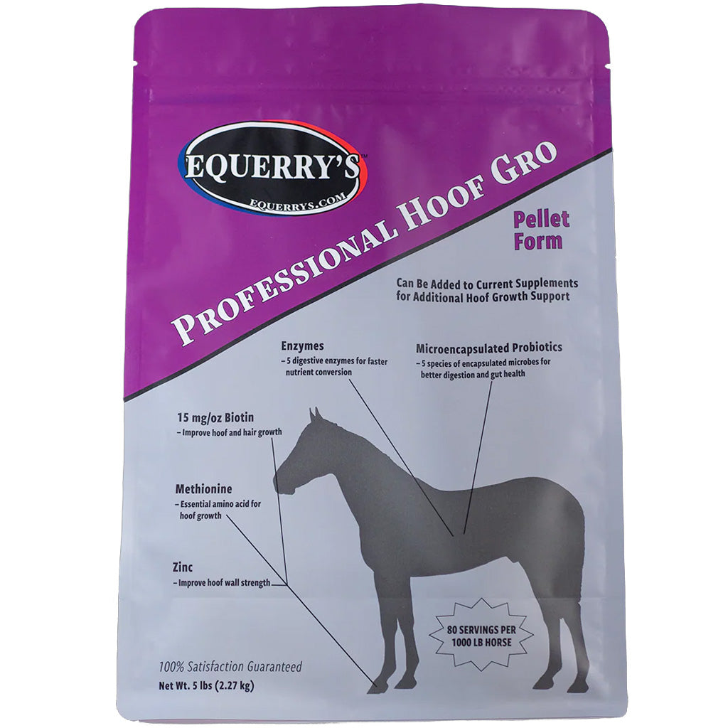 Equerry&