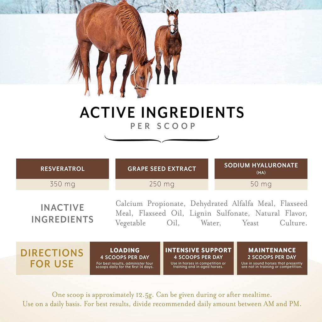 Equithrive Original Joint Pellets for Horses