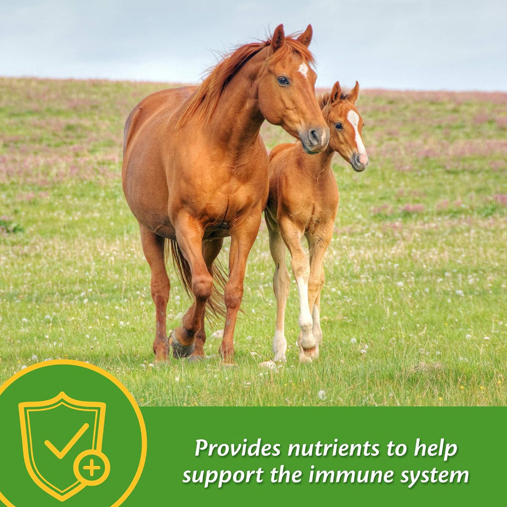 Farnam Grow Colt Growth & Development Horse Supplement