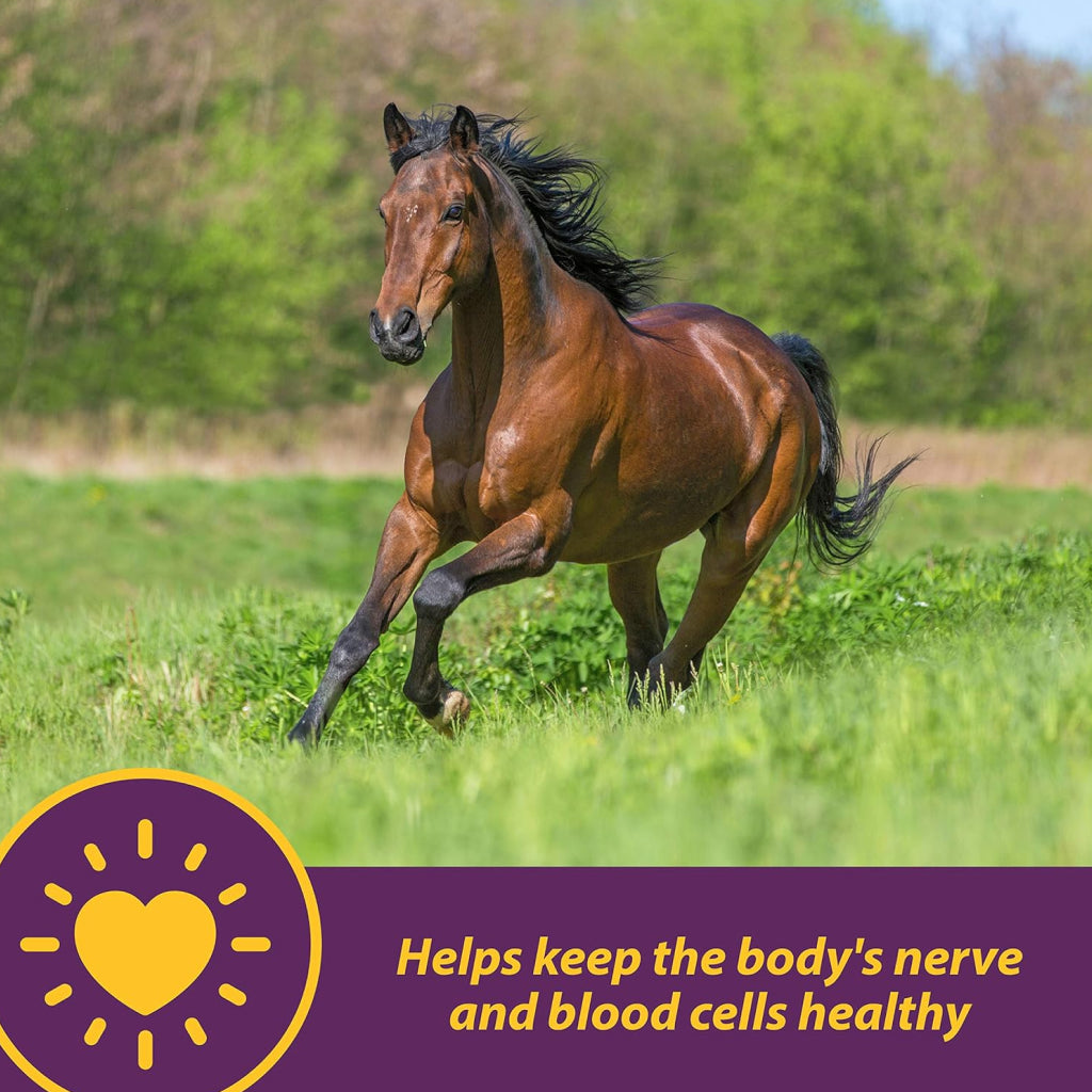 Horse Health Products Vita B-12 Crumbles Vitamin Supplement For Horses (3 lb)