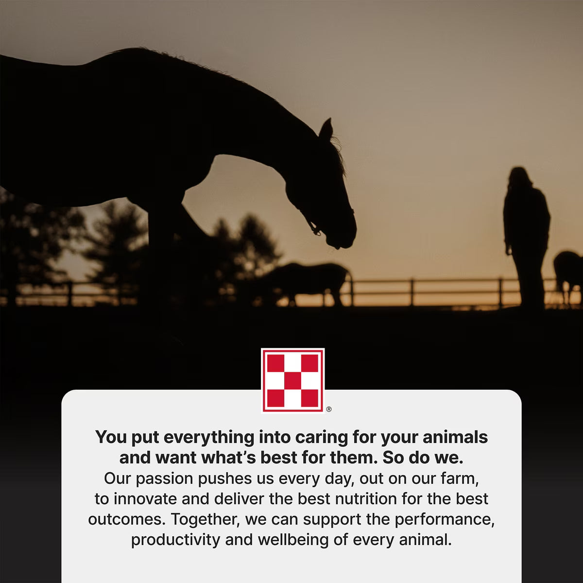 Purina Stratefy Professional Formula GX Horse Feed, 50-lb