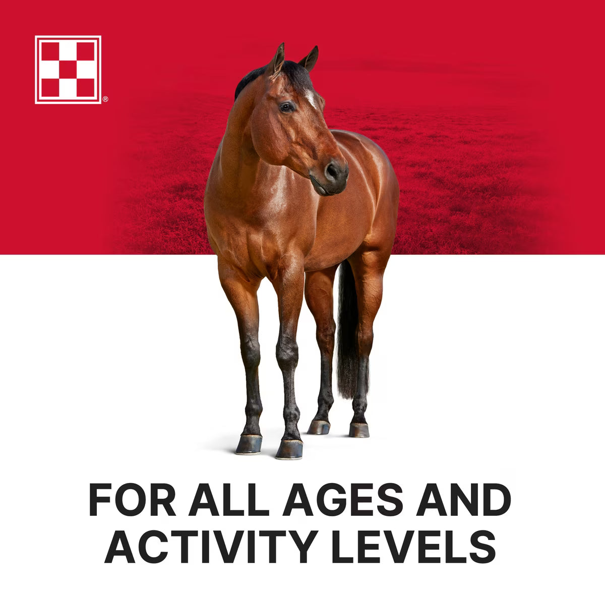 Purina Stratefy Professional Formula GX Horse Feed, 50-lb