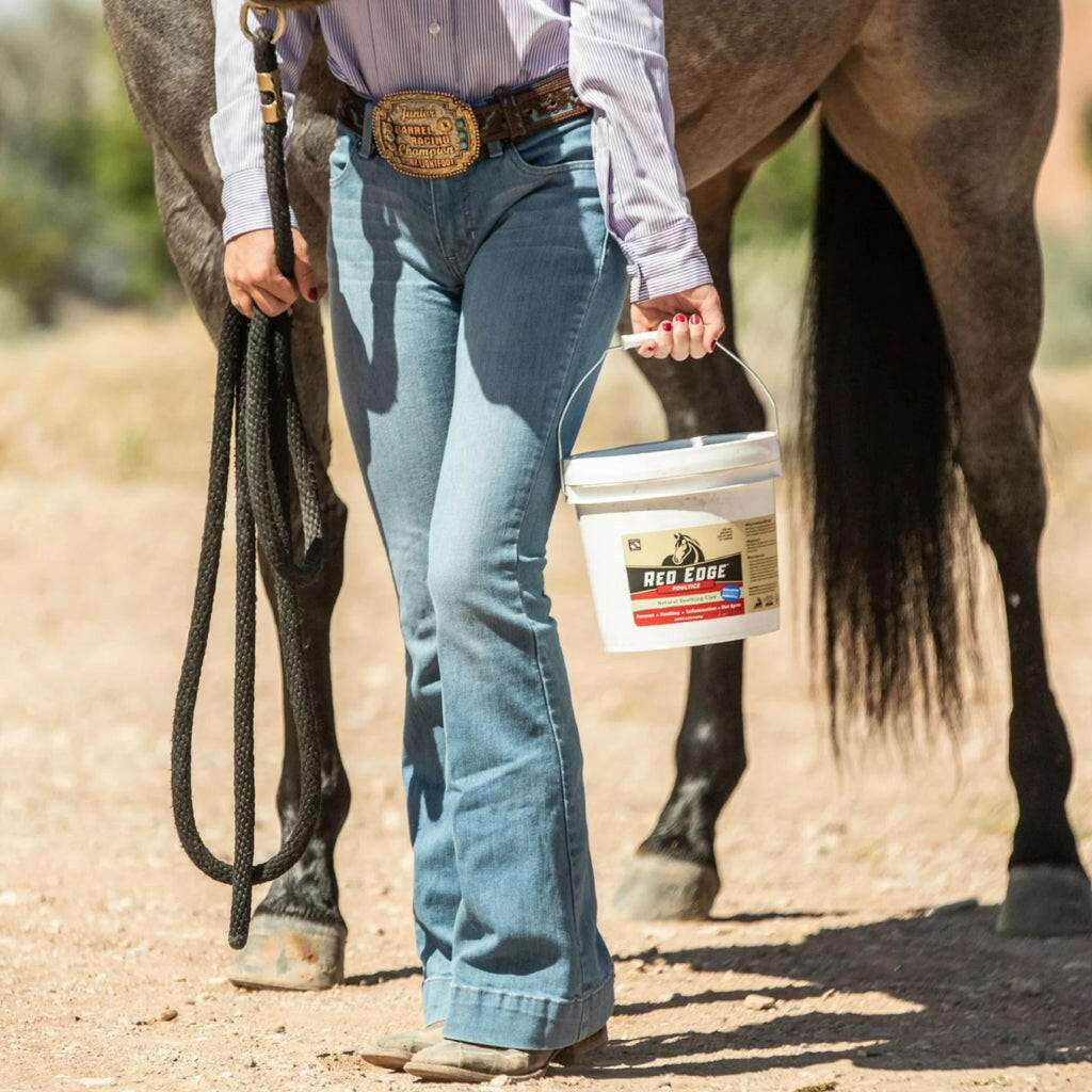 Redmond Simply Clay Natural Topical Solution Poultice For Horse (9.5 lb)