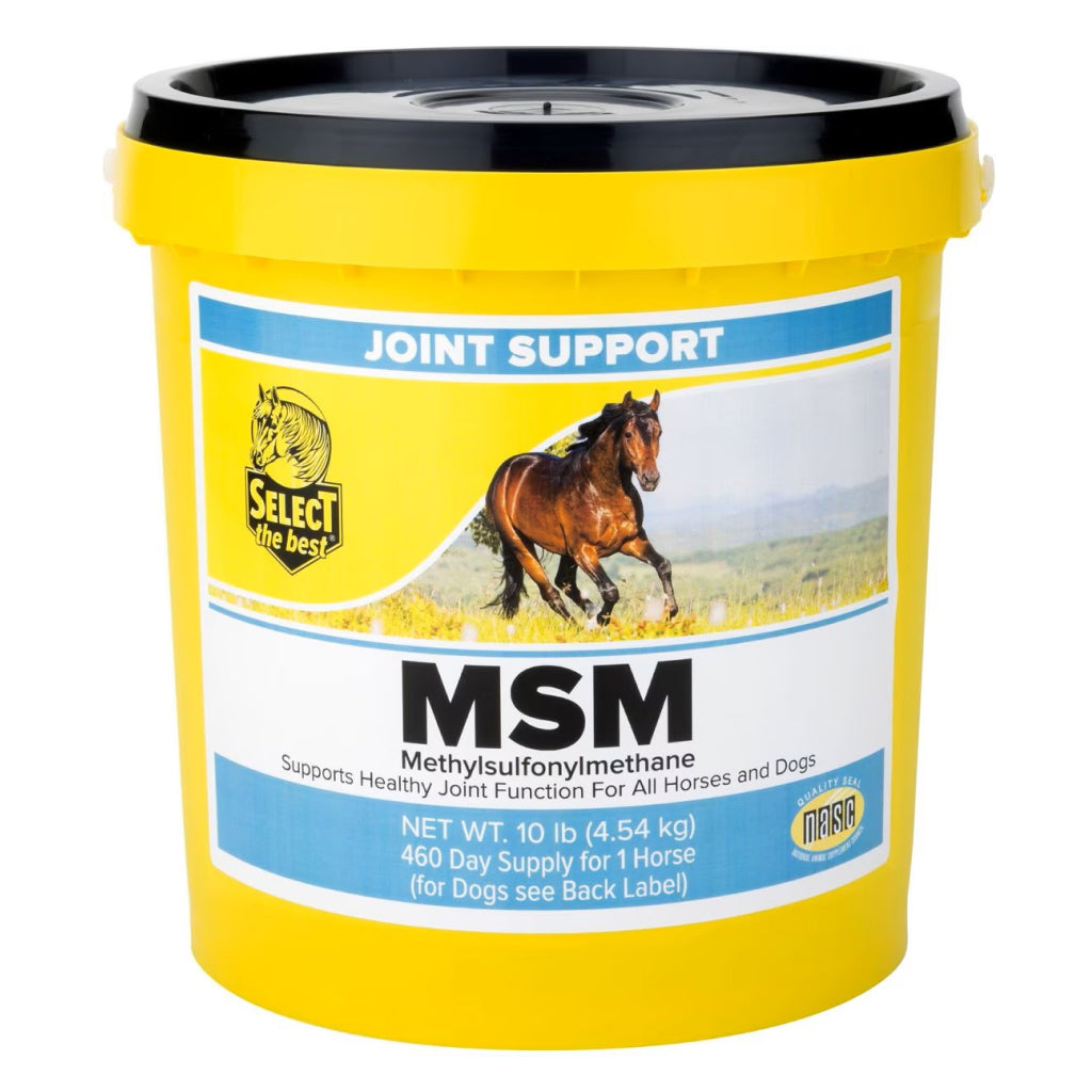 Select the Best MSM Joint Support for Horses