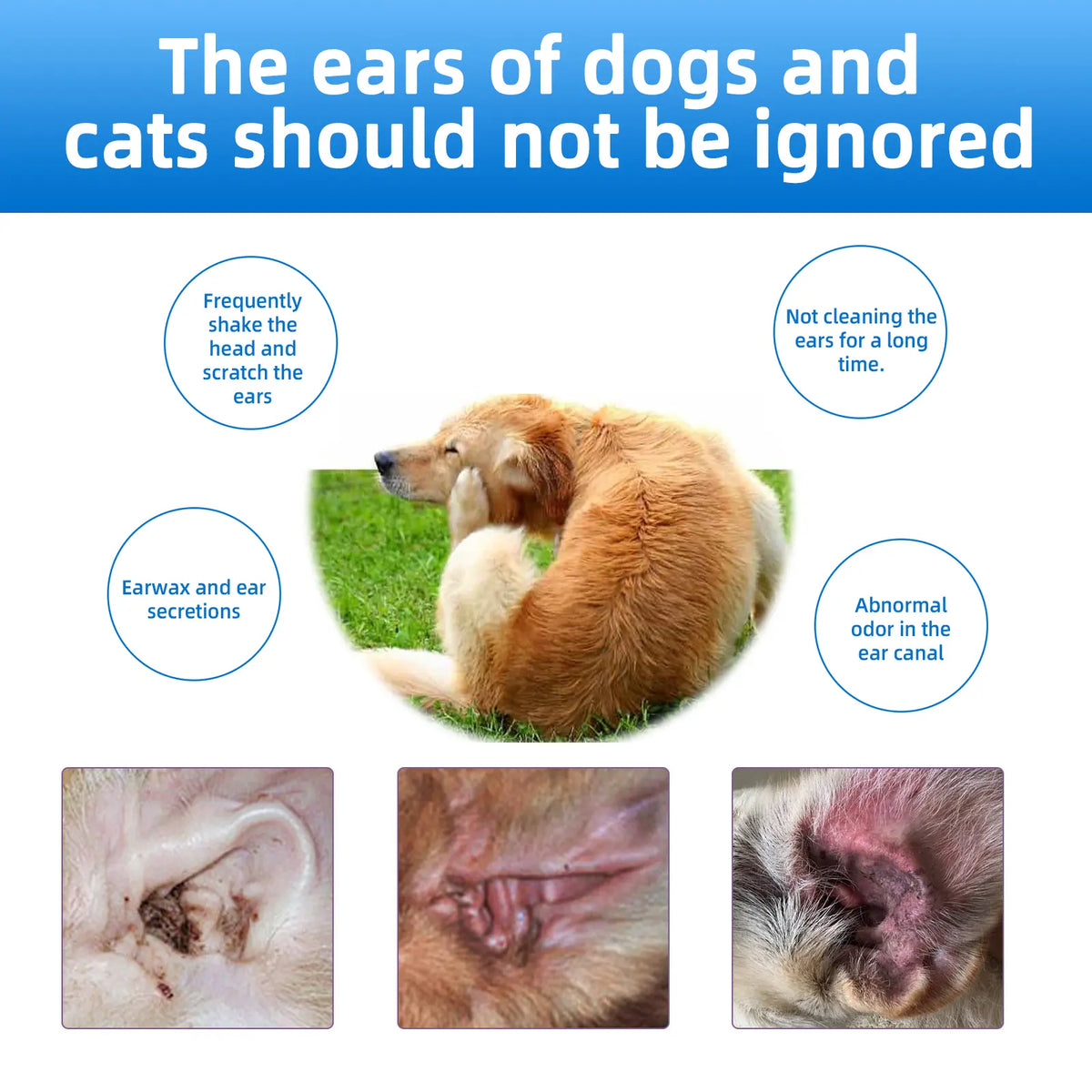 Gentle Pet Ear Wash | Odor-Free Cleaning for Dogs &amp; Cats