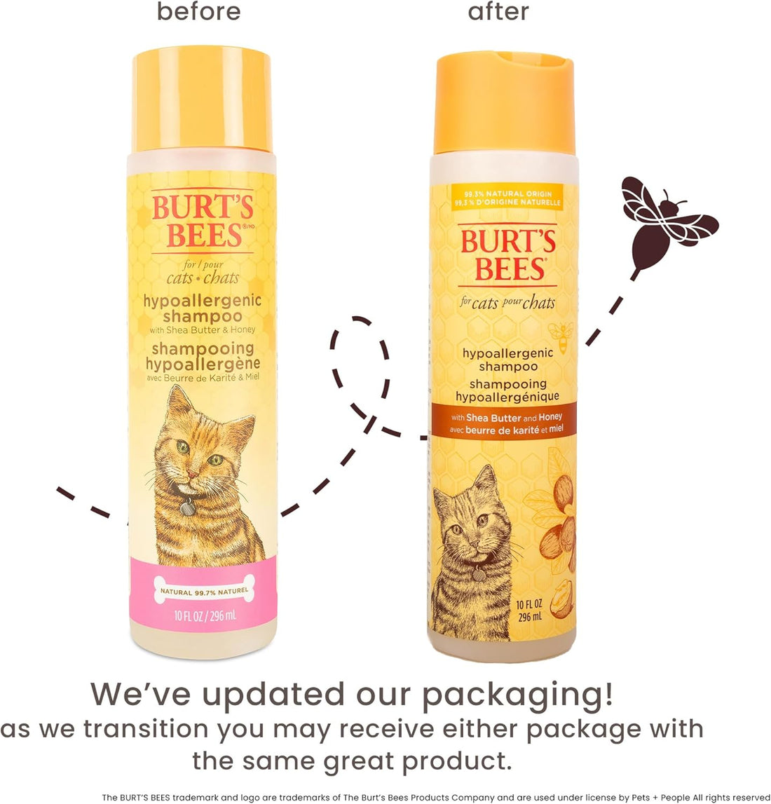 Hypoallergenic Cat Shampoo with Shea Butter and Honey, Gentle Formula for Indoor Cats with Dry or Sensitive Skin, Ph Balanced, Fragrance-Free, 10 Fl Oz - 2 Pack