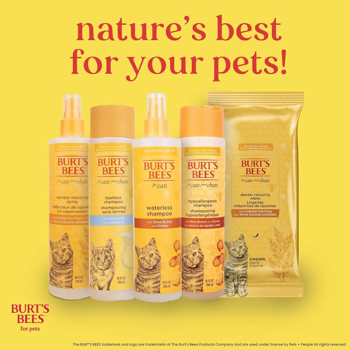 Hypoallergenic Cat Shampoo with Shea Butter and Honey, Gentle Formula for Indoor Cats with Dry or Sensitive Skin, Ph Balanced, Fragrance-Free, 10 Fl Oz - 2 Pack
