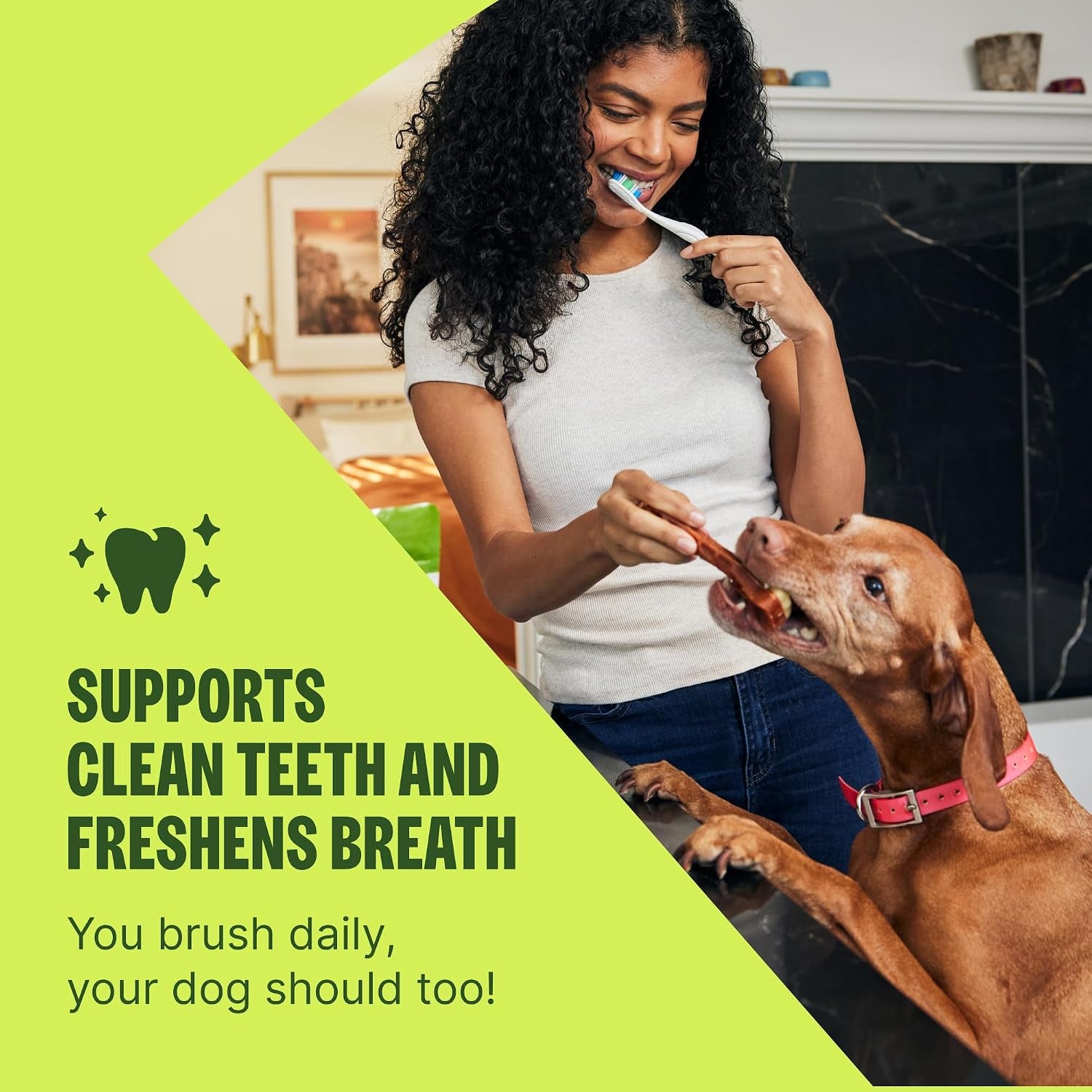 Wellness Stix Natural Dog Dental Treat, Chews, Freshens Breath, Medium Size Sticks, 14.81 Oz Bag, 14 Count