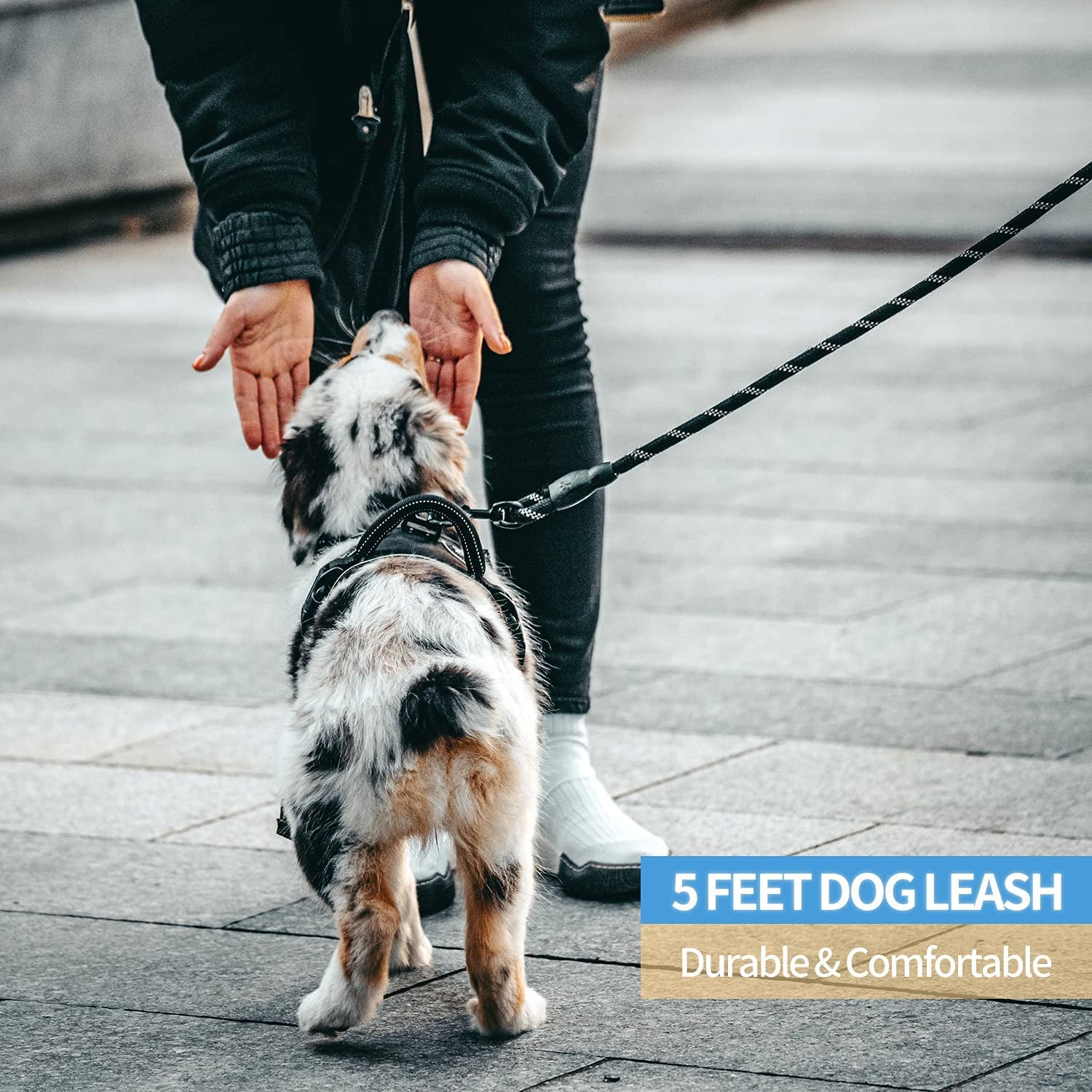 2/4/5/6 FT Dog Leash with Comfortable Padded Handle and Highly Reflective Threads for Small Medium and Large Dogs (5FT-1/2&