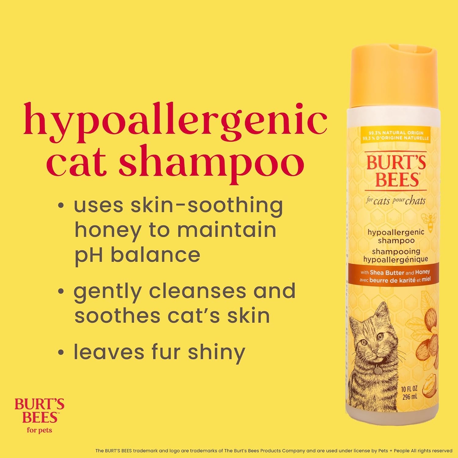 Hypoallergenic Cat Shampoo with Shea Butter and Honey, Gentle Formula for Indoor Cats with Dry or Sensitive Skin, Ph Balanced, Fragrance-Free, 10 Fl Oz - 2 Pack