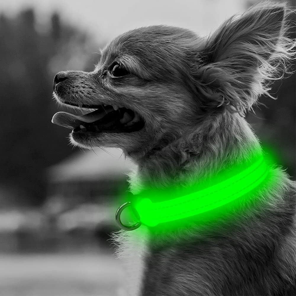 Adjustable LED Dog &amp; Cat Collar - Rechargeable, Small Breeds, Green, 8.5-11.8 Inches, Nylon, Lightweight, Reflective, 2 Flash Modes | Glow in the Dark Rechargeable Reflective Adjustable Flashing Illuminous Safety Dog Lights for Night Walking