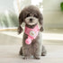 SnugTail Knit Scarf – Festive Warmth & Style for Cats and Dogs