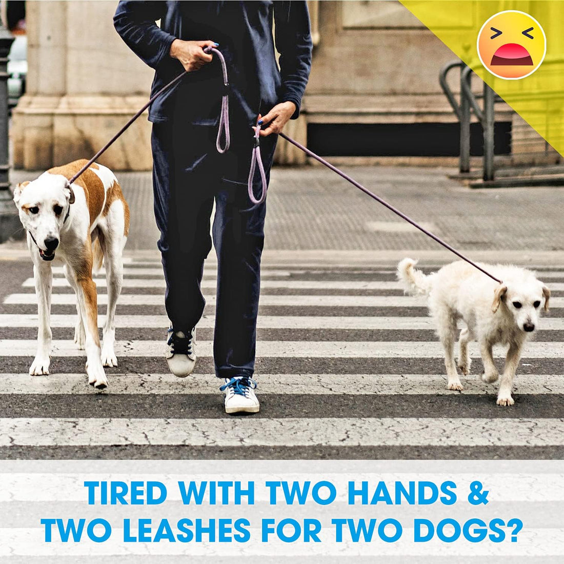 Double Dog Leash Splitter, Tangle Free Dual Dog Leash Coupler, Two Dog Walking and Training Extension for Small Medium or Large Dogs (1.0&