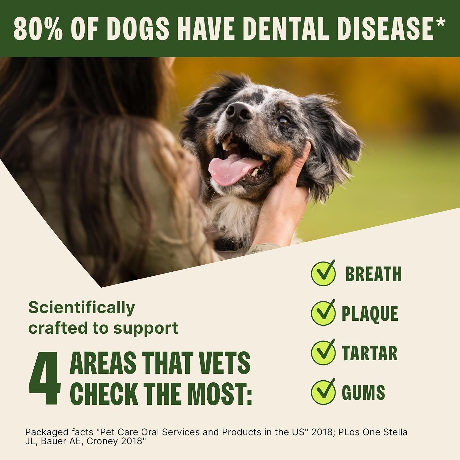 Wellness Stix Natural Dog Dental Treat, Chews, Freshens Breath, Medium Size Sticks, 14.81 Oz Bag, 14 Count