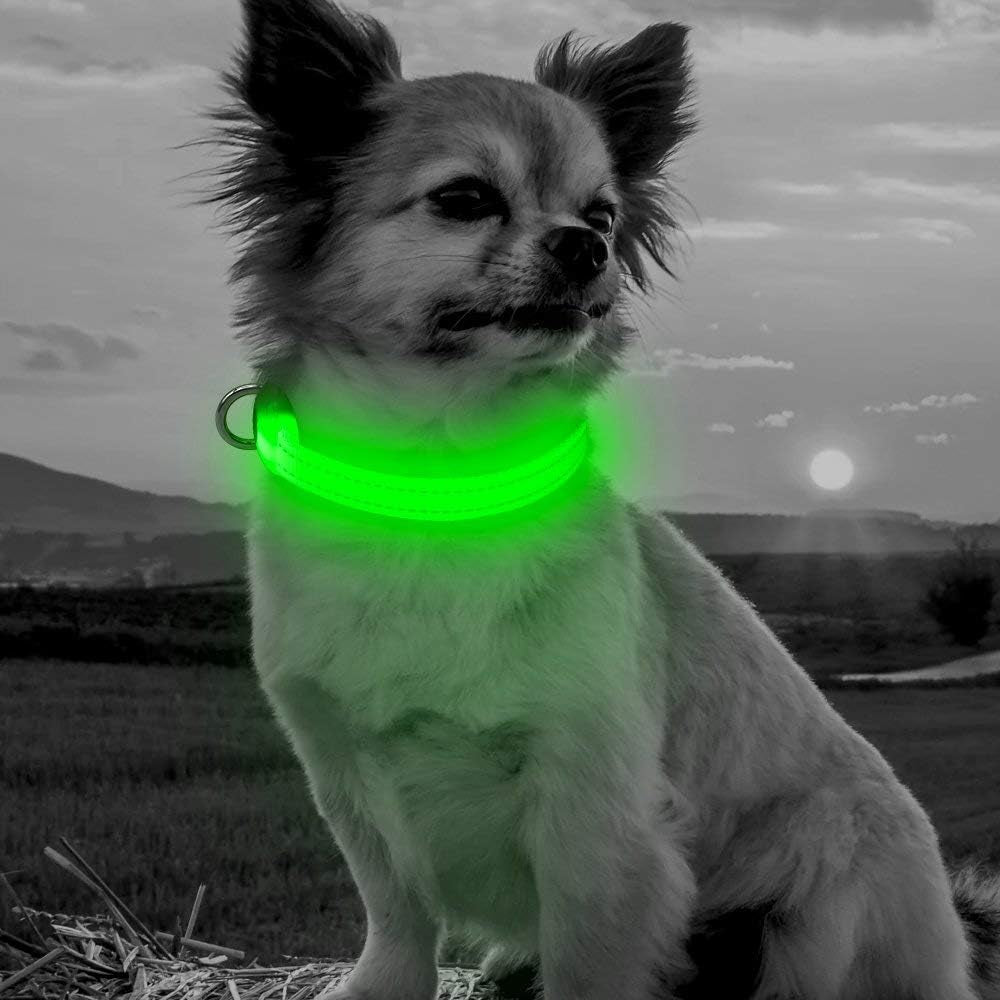 Adjustable LED Dog &amp; Cat Collar - Rechargeable, Small Breeds, Green, 8.5-11.8 Inches, Nylon, Lightweight, Reflective, 2 Flash Modes | Glow in the Dark Rechargeable Reflective Adjustable Flashing Illuminous Safety Dog Lights for Night Walking