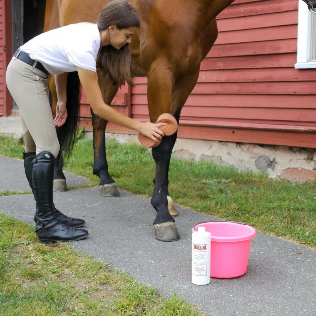 Absorbine Bigeloil Muscle &amp; Joint Pain Relief Liniment Liquid for Horses