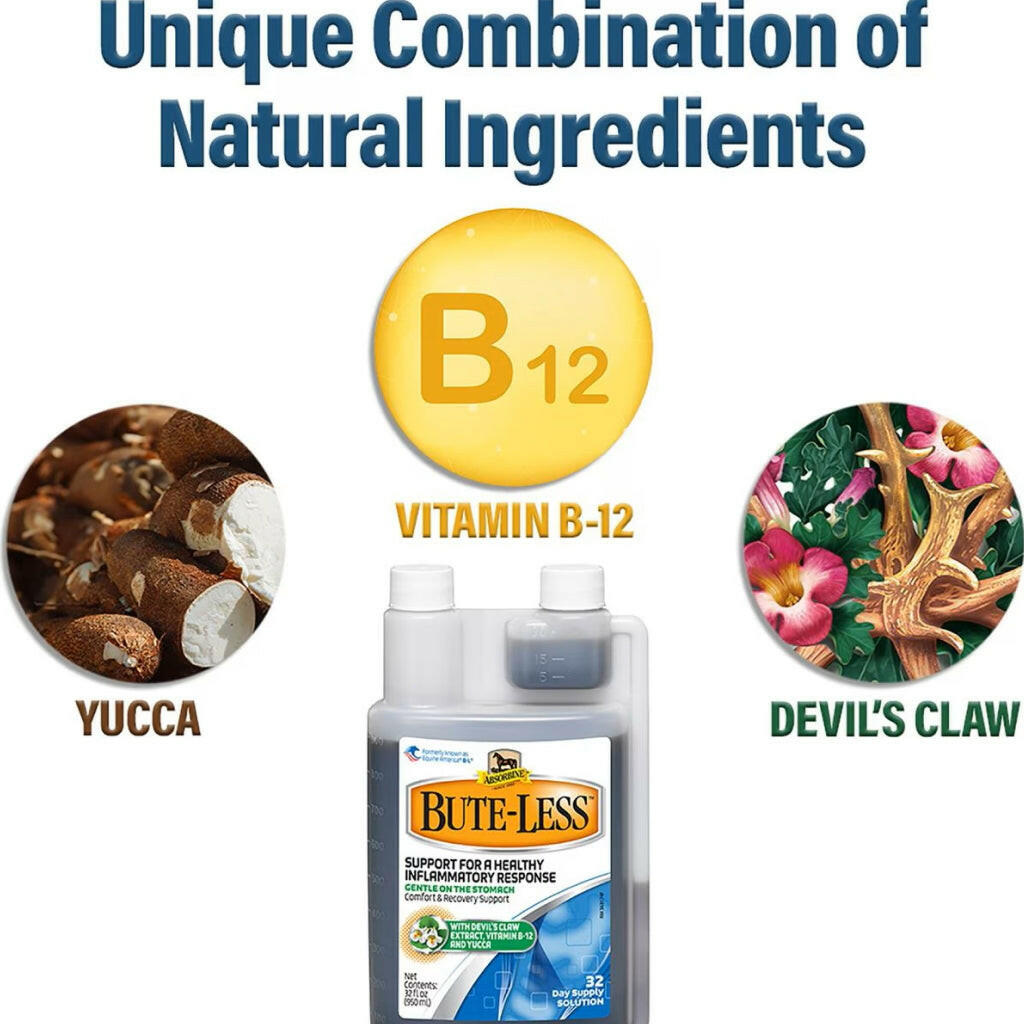 Absorbine Bute-Less Comfort &amp; Recovery Solution Supplement for Horses