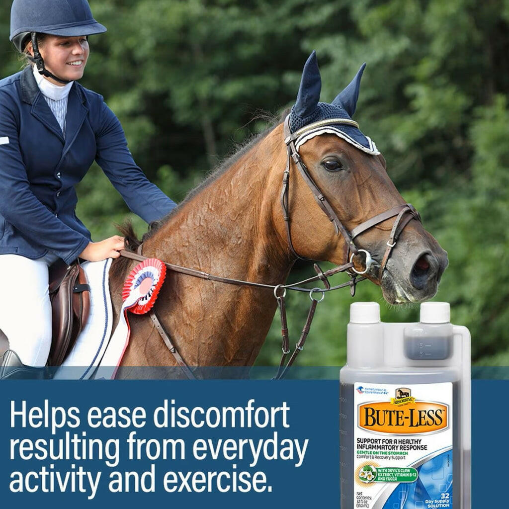 Absorbine Bute-Less Comfort &amp; Recovery Solution Supplement for Horses
