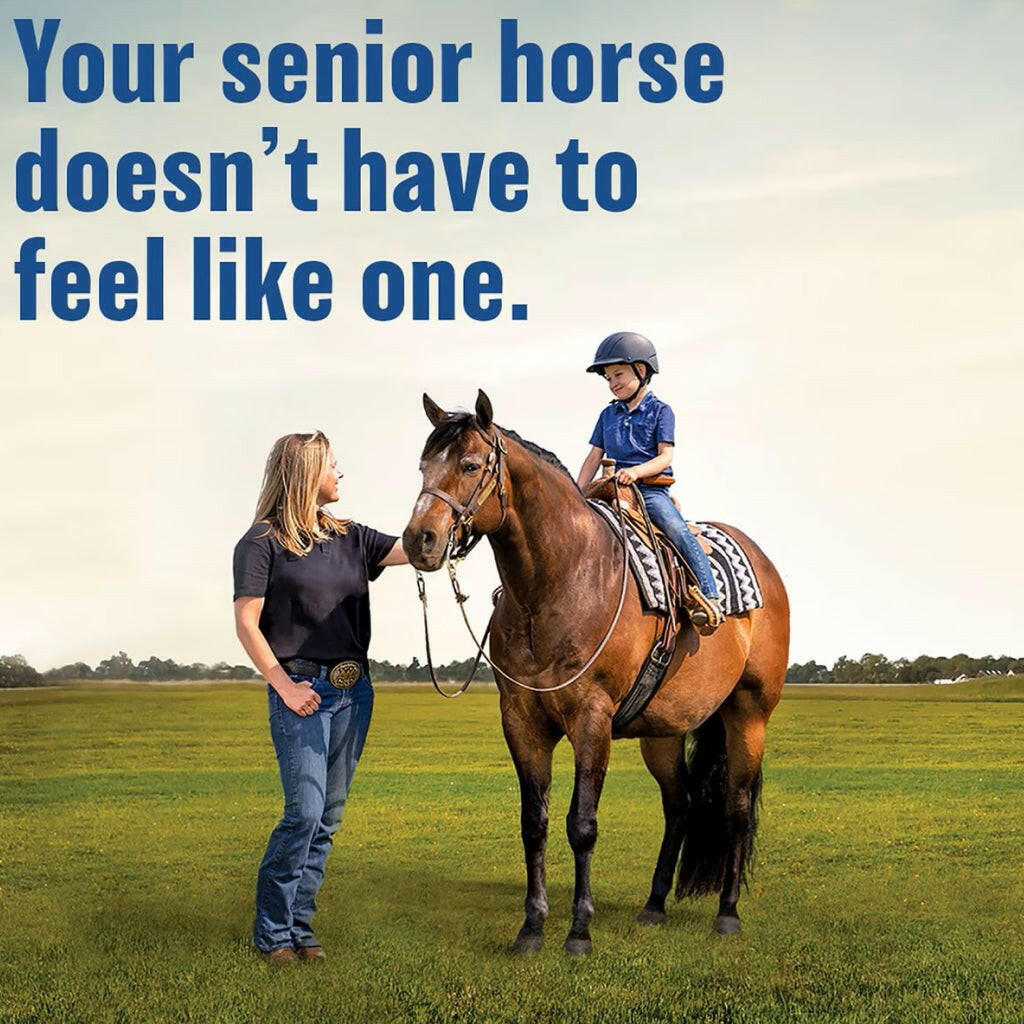 Absorbine Bute-Less Comfort &amp; Recovery Solution Supplement for Horses