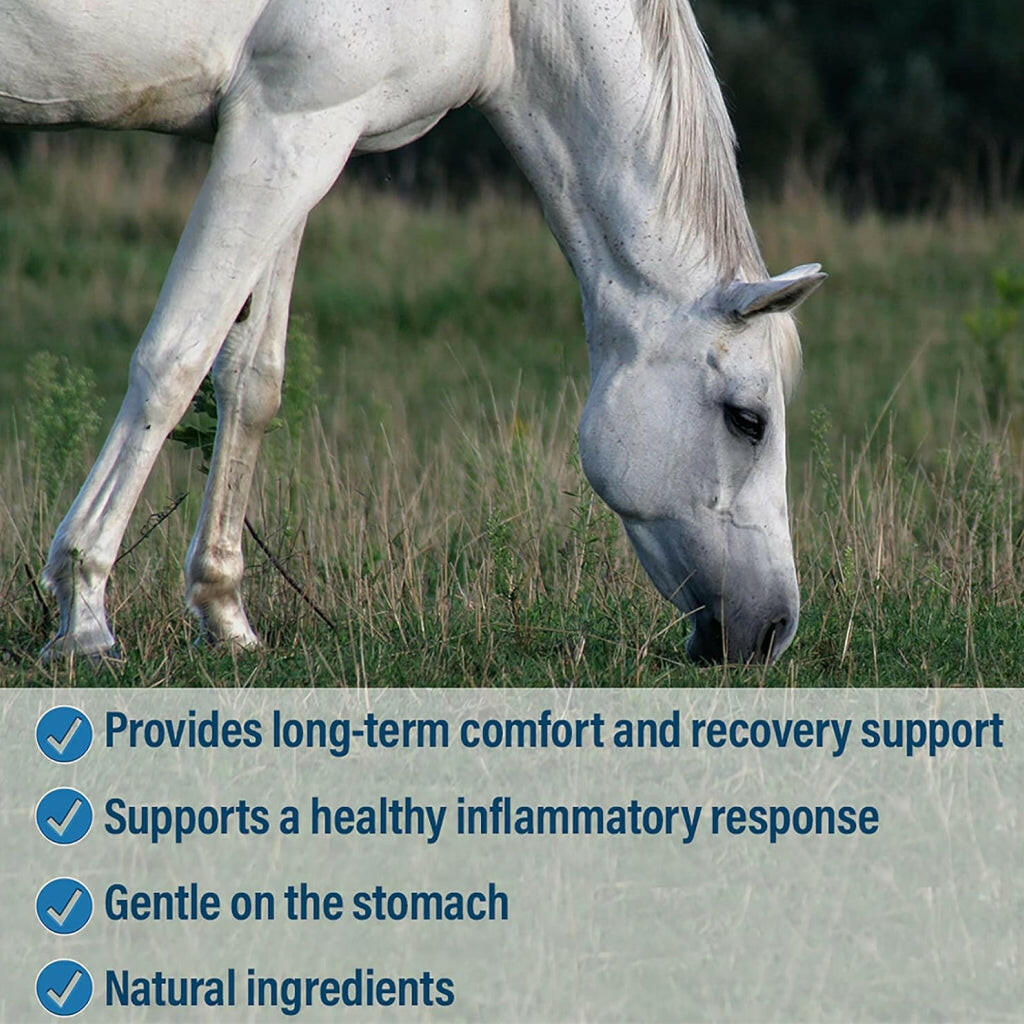 Absorbine Bute-Less Comfort &amp; Recovery Supplement Paste for Horses (3 doses)