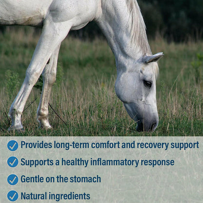 Absorbine Bute-Less Comfort &amp; Recovery Supplement Paste for Horses (3 doses)