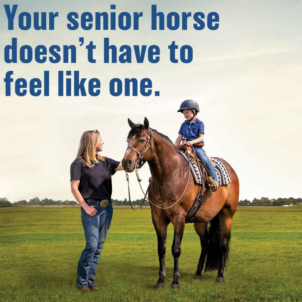Absorbine Bute-Less Comfort &amp; Recovery Supplement Paste for Horses (3 doses)