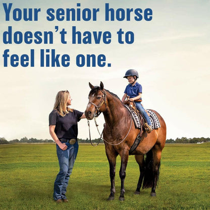 Absorbine Bute-Less Comfort &amp; Recovery Supplement Paste for Horses (3 doses)