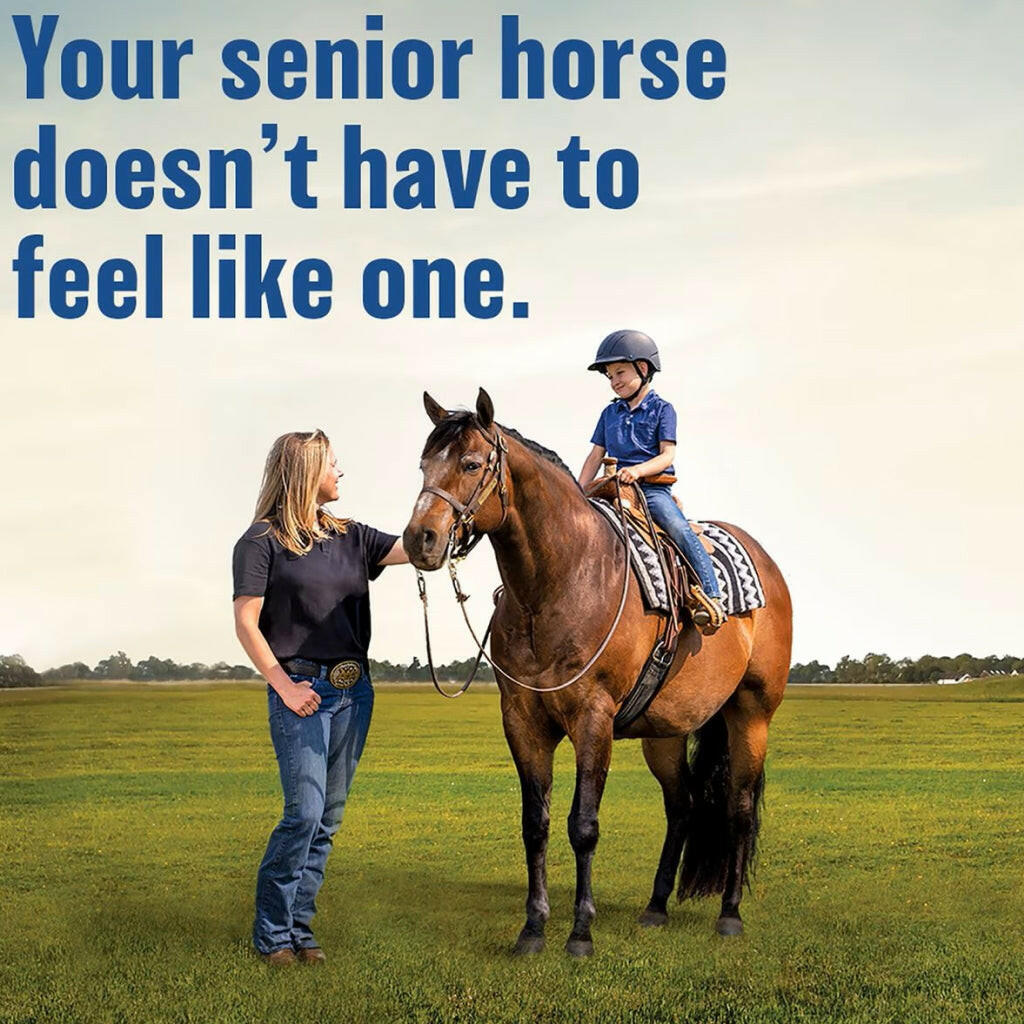 Absorbine Bute-Less Pellets Comfort &amp; Recovery Supplement for Horses