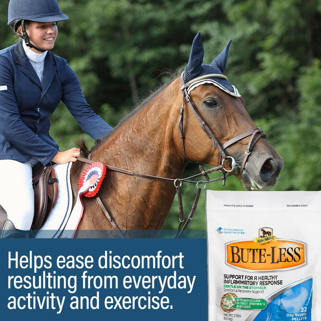 Absorbine Bute-Less Pellets Comfort &amp; Recovery Supplement for Horses