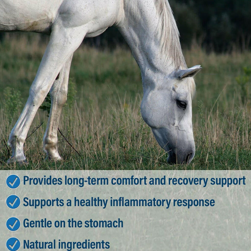 Absorbine Bute-Less Pellets Comfort &amp; Recovery Supplement for Horses