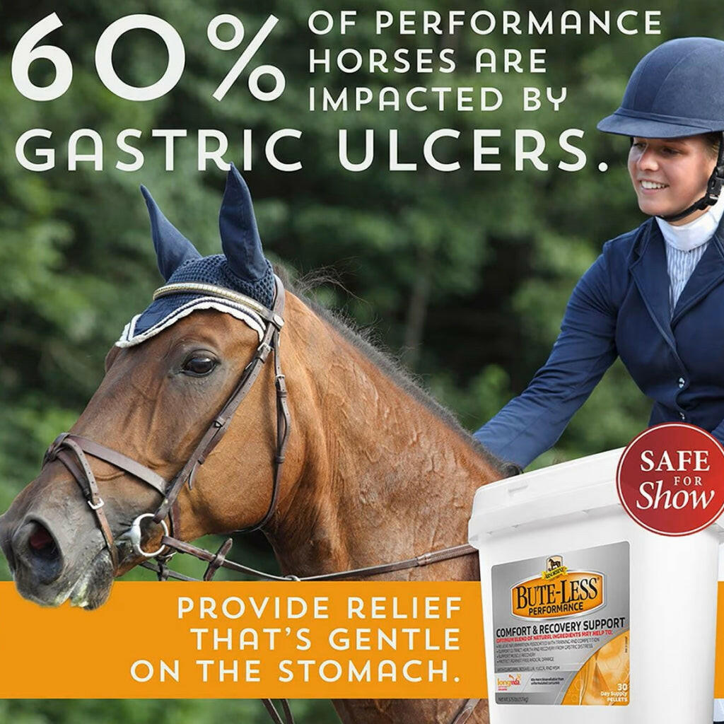 Absorbine Bute-Less Performance Comfort &amp; Recovery Pellets for Horses (3.75 lbs)