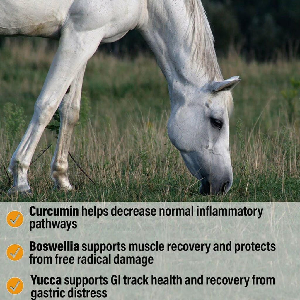 Absorbine Bute-Less Performance Comfort &amp; Recovery Pellets for Horses (3.75 lbs)