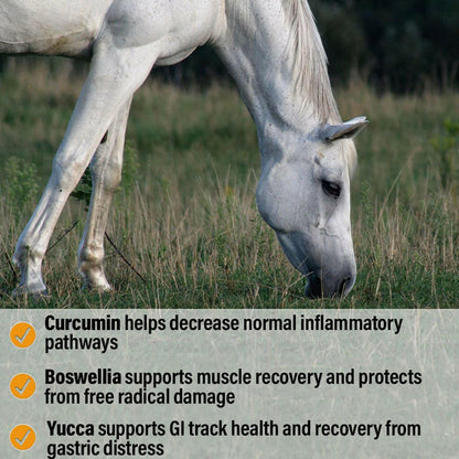 Absorbine Bute-Less Performance Comfort &amp; Recovery Pellets for Horses (3.75 lbs)