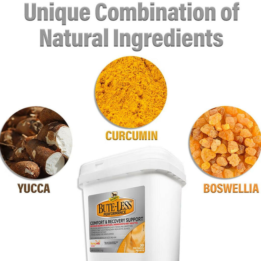 Absorbine Bute-Less Performance Comfort &amp; Recovery Pellets for Horses (3.75 lbs)