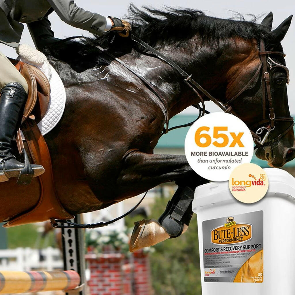 Absorbine Bute-Less Performance Comfort &amp; Recovery Pellets for Horses (3.75 lbs)