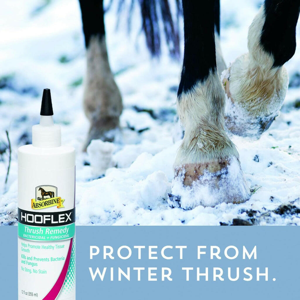 Absorbine Hooflex Bactericidal &amp; Fungicidal Thrush Remedy for Horses 12 oz
