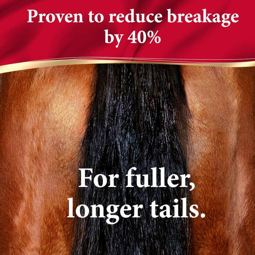 Absorbine Showsheen Hair Polish &amp; Detangler Spray for Horses