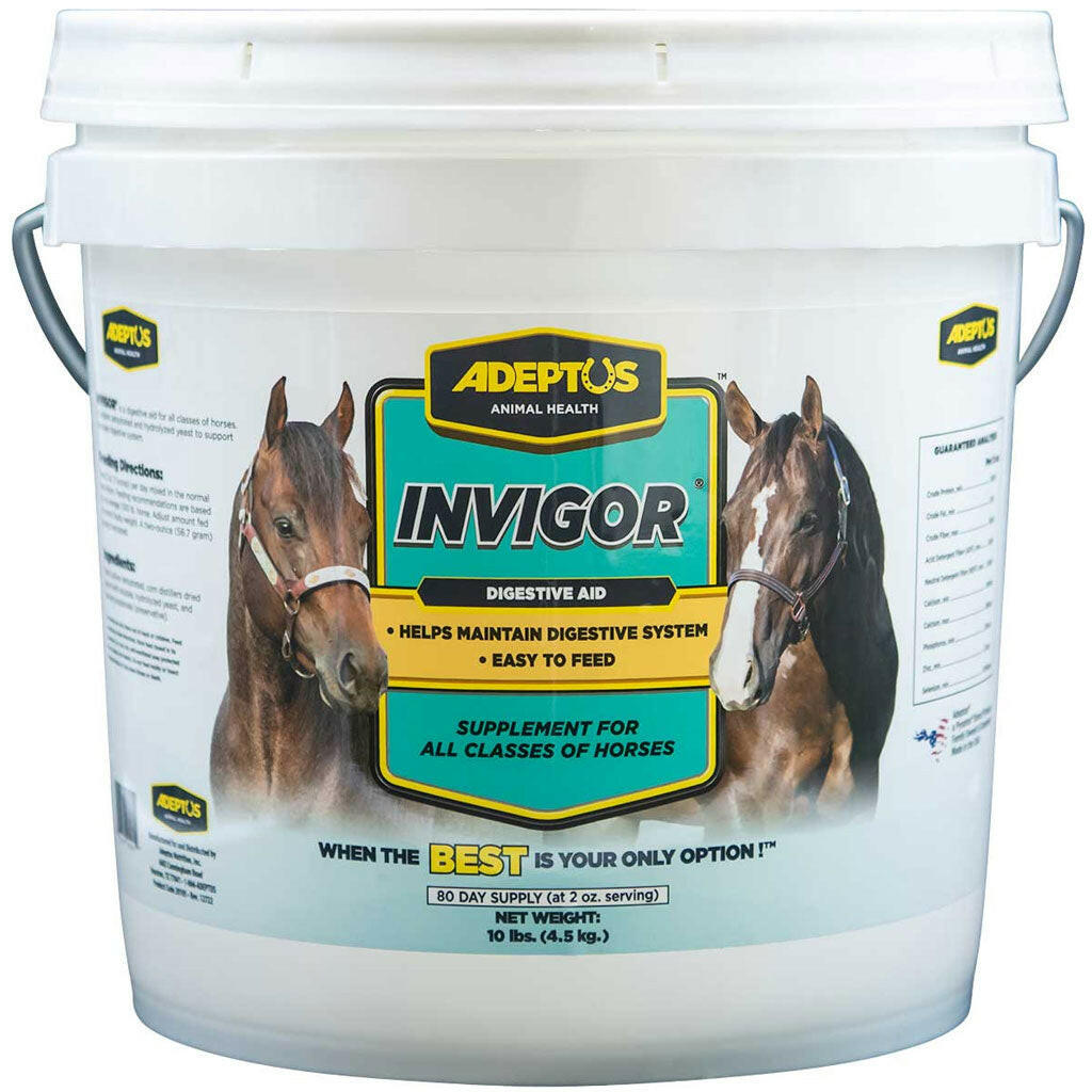 Adeptus Invigor Prebiotic Digestion Supplement for Horses