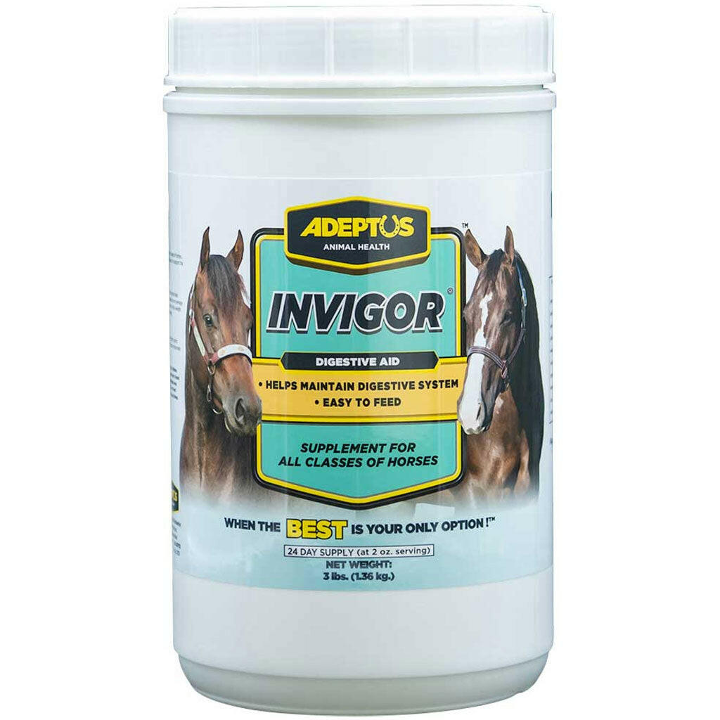 Adeptus Invigor Prebiotic Digestion Supplement for Horses