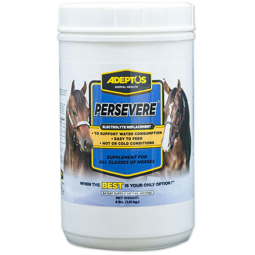 Adeptus Persevere Low Sugar Electrolyte Supplement for Horses