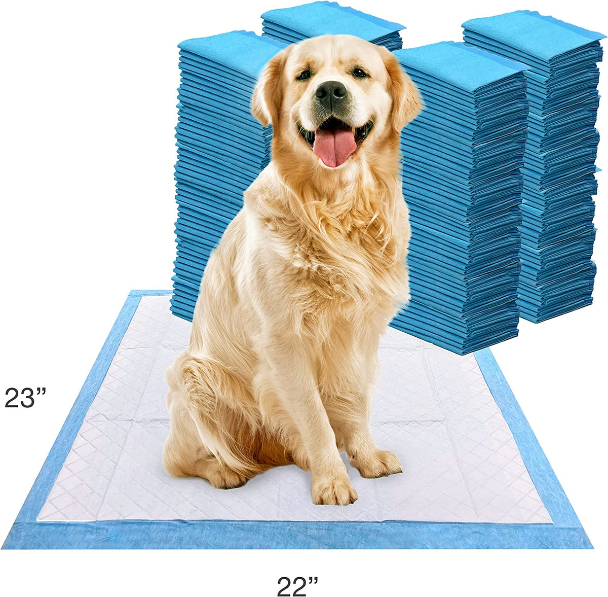 Wee-Wee Superior Performance Dog Pee Pads, 200 Count | Quilted Leak-Proof Puppy Pads, Dog Housebreaking &amp; Potty Training, 24-Hour Floor Protection, Pet Supplies, 22" X 23"