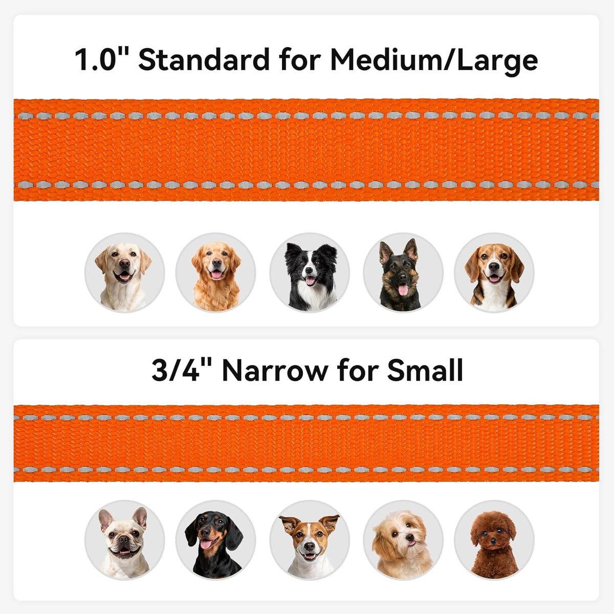 Dog Leash, 5 FT Double-Sided Reflective, Padded Handle Nylon Heavy Duty Leashes for Medium &amp; Large Dogs Walking, Orange