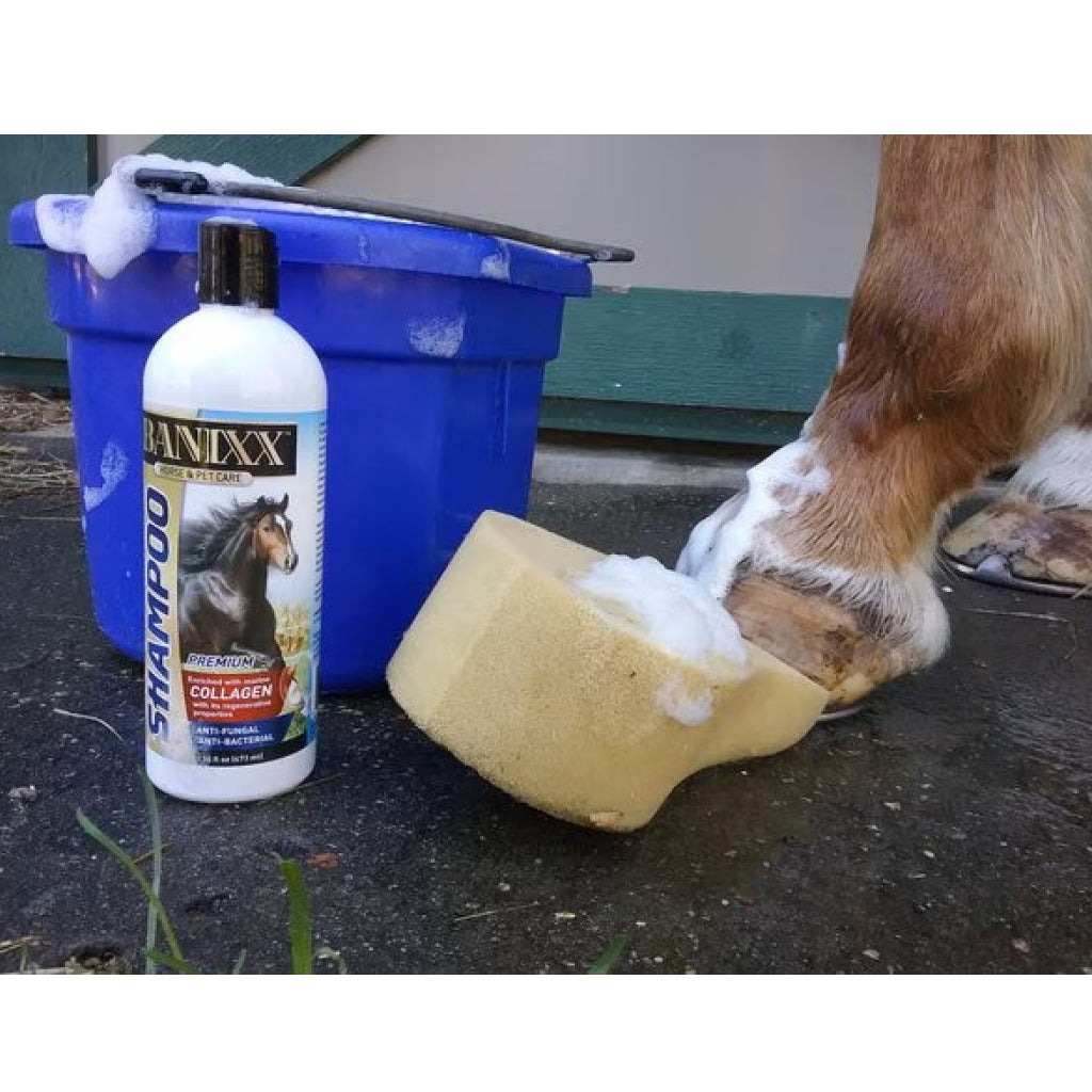 Banixx Horse &amp; Pet Care Antifungal &amp; Antibacterial Shampoo with Collagen (16 oz)
