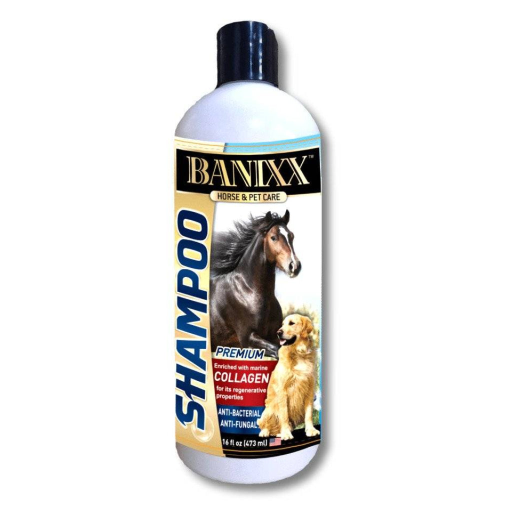 Banixx Horse &amp; Pet Care Antifungal &amp; Antibacterial Shampoo with Collagen (16 oz)