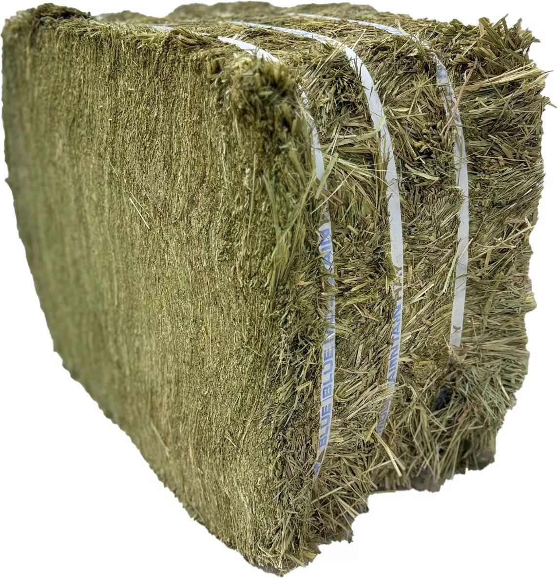 Blue Mountain Hay High-Altitude Orchard Grass Hay Easy Flake Box Horse Feed, 50-lb