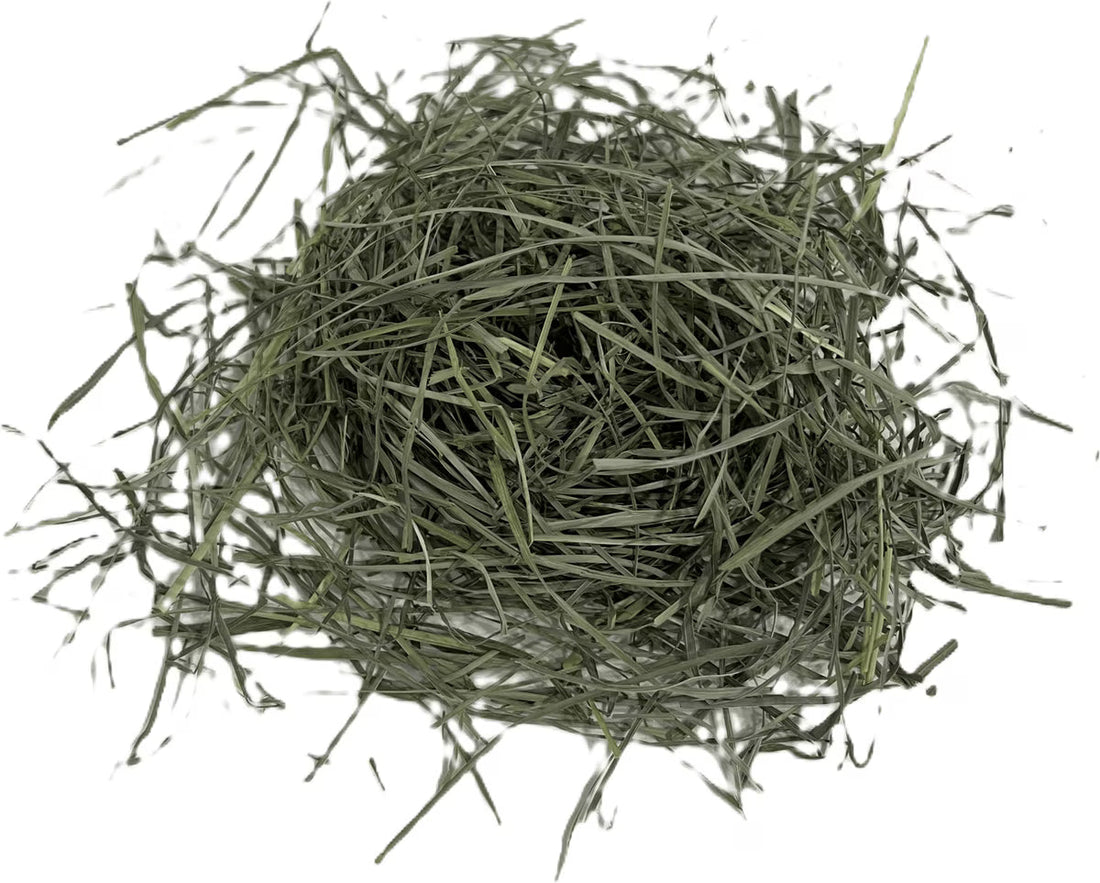Blue Mountain Hay High-Altitude Orchard Grass Hay Easy Flake Box Horse Feed, 50-lb