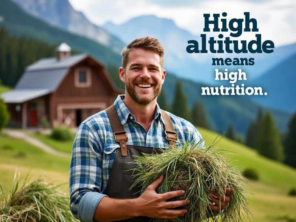 Blue Mountain Hay High-Altitude Organic Alfalfa Hay Easy Flake Box Horse Feed, 50-lb