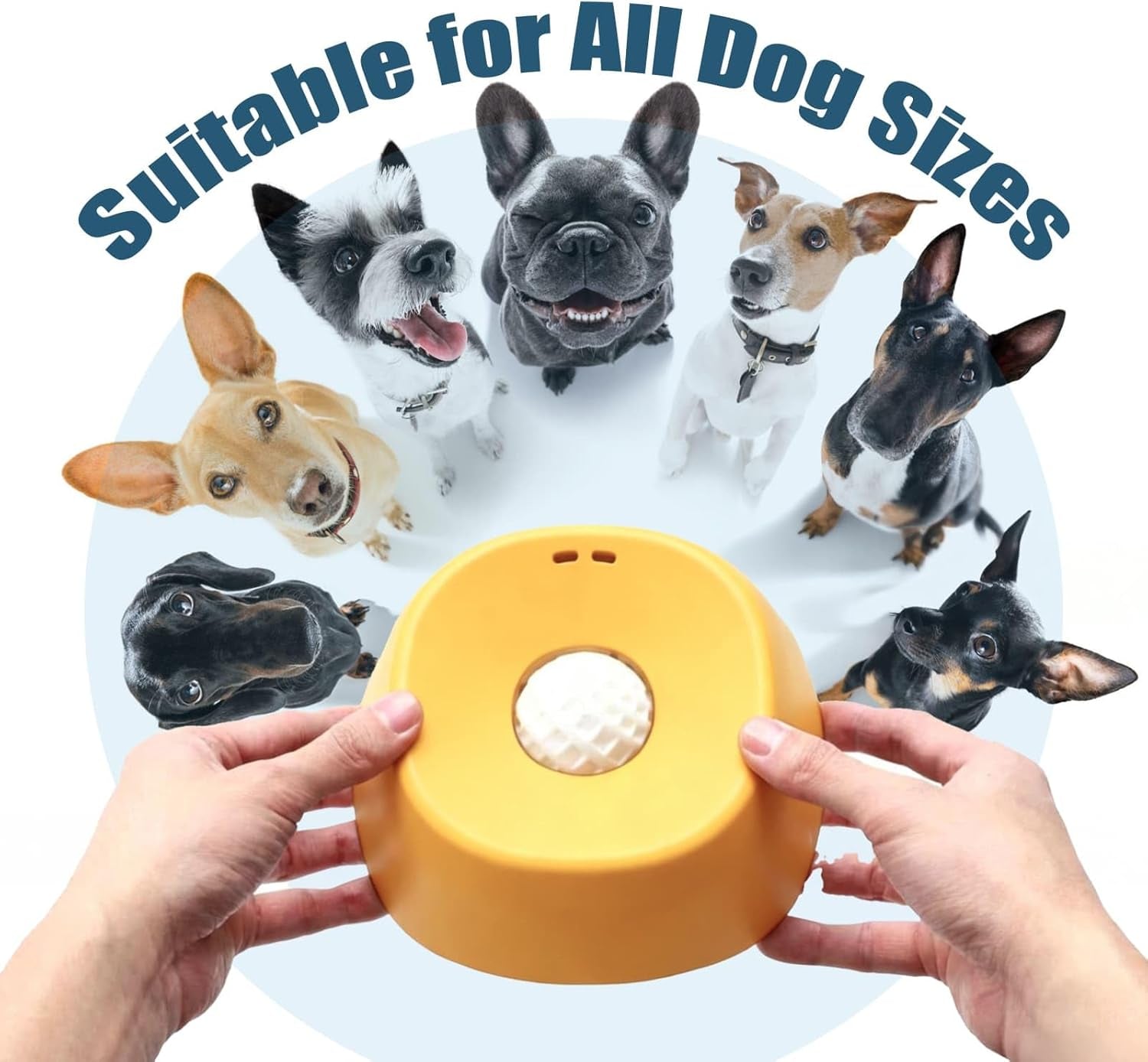 Lick and Roll Bowl for Dogs – No-Mess Slow Feeder for Bone Broth, Yogurt &amp; Supplements | Lick and Roll Bowl with Anti-Spill Rolling Ball | for Senior Dogs, New Puppies &amp; Post-Op Nutrition