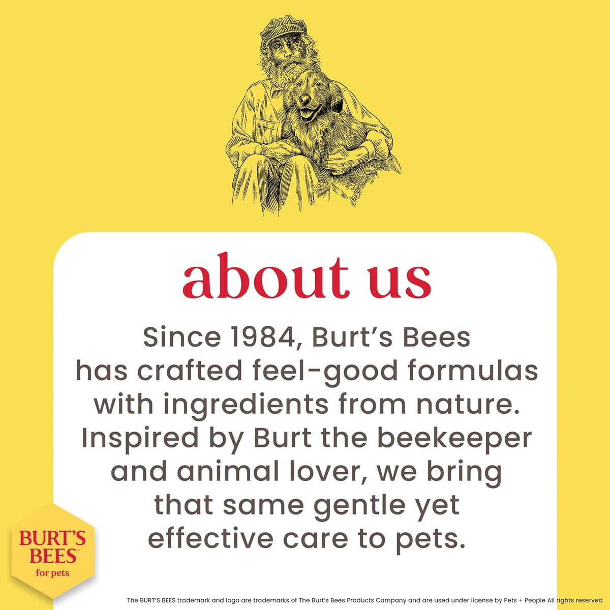 Hypoallergenic Cat Shampoo with Shea Butter and Honey, Gentle Formula for Indoor Cats with Dry or Sensitive Skin, Ph Balanced, Fragrance-Free, 10 Fl Oz - 2 Pack